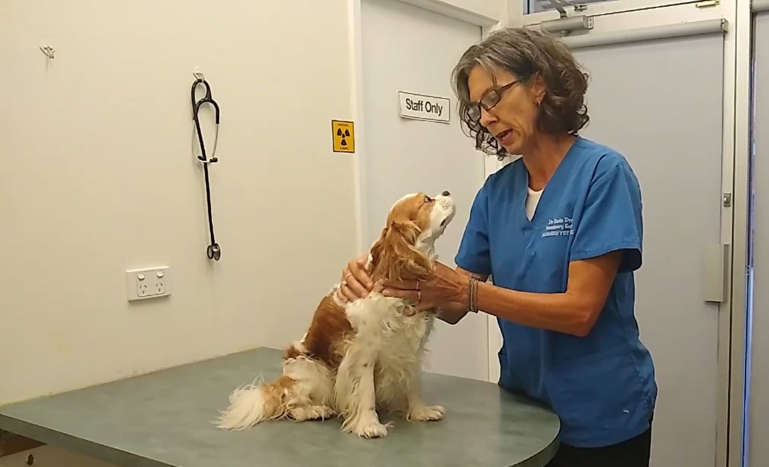 Understanding Your Dog's Behaviour Careers Online Coures